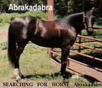 SEARCHING FOR HORSE Abrakadabra, Near Fort Smith or Boonville, AR, 00000